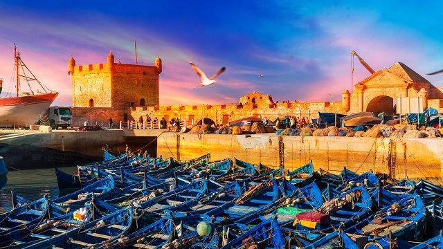 AMO-Marrocos-Essaouira-Marina-Acp-Viagens