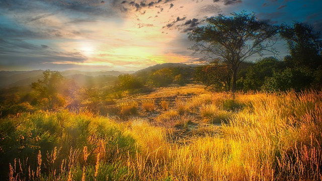 AMO-Zimbabwe-Bulawayo-Parque-Nacional-Matobo1-Acp-Viagens