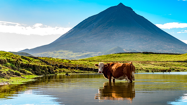 ACP - Passeio da primavera: especial Açores - Pico, S. Jorge, Faial e Graciosa