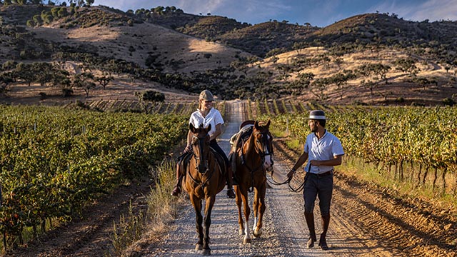Passeios ACP - Fim de semana no Alentejo - vinhos e territórios