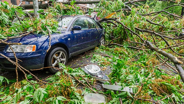 Carro danificado pela queda de uma árvore: quem paga?