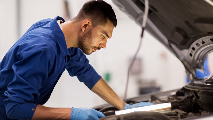 shutterstock-516711292